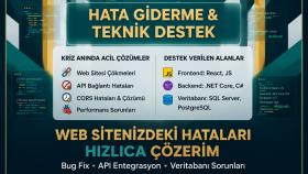 web sitenizdeki hataları hızlıca çözerim