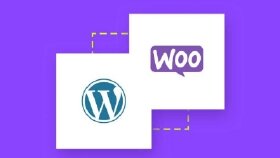 WordPress WooCommerce E-Ticaret Sitesi