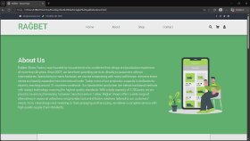 size özel modern ve mobil uyumlu web sitesi geliştiririm