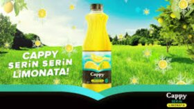 hızlı, doğal ve kaliteli seslendirme yapıyorum