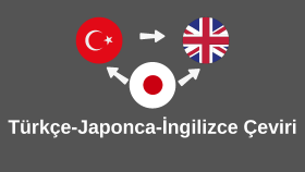 Japonca-İngilizce çevirilerinizi yapabilirim