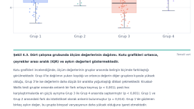 Bulguların Yorumlanması ve Akademik Raporlama