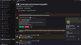 sunucunuza özel profesyonel discord botu geliştirebilirim