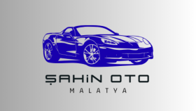 ŞAHİN OTO-örnek logo