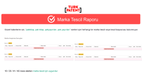Marka Tescil Ön Araştırması