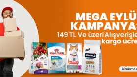 kreatif ve özgün içerik tasarımları üretiyorum