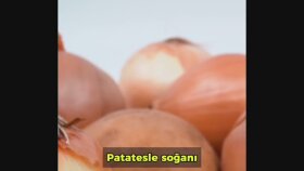 Sosyal medya içerik seslendirme