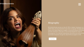 Wordpress tabanlı bir web sitesi tasarlıyorum