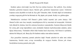 yaratıcı metinlerimle amacınıza ulaşmanıza destek olurum