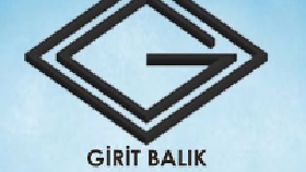 sizler için vizyonel bir logo tasarlayabilirim