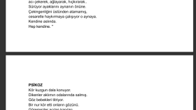 el yazılarınızı düzenli bir şekilde metne çeviririm