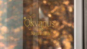 Okyanus Kuyumculuk Logo Tasarımı