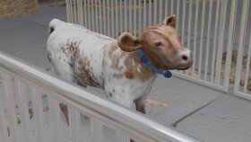 3D Modelleme ve Animasyon