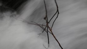 Fotoğraflar