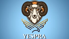 itina ile logo tasarlarım