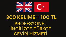 Çevirmenlik