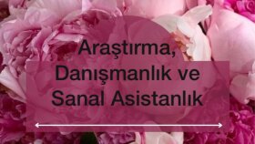 sizler için araştırma yaparım