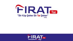 logo tasarlayabilirim