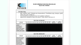 İş Planı Projesi Sunumu ve Hazırlanması