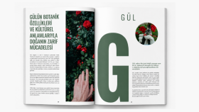 Dergi Tasarımı Çalışmalarım