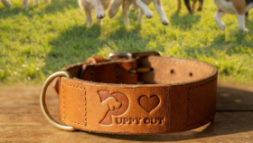 Petshop,köpek kuaförü logosu