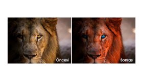 DEKUPAJ ve FOTO DÜZENLEME