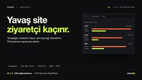 WordPress sitenizin hızını ve PageSpeed skorunu artırırım