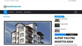 profesyenel web sitesi yapıyorum