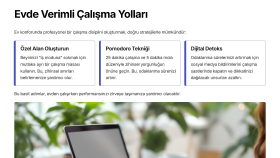 Hızlı ve SEO Uyumlu Makale Yazımı