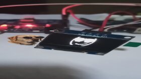 LCD
