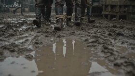 Noir dedektif kısa filmi