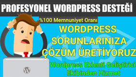 wordpress hata ve sorunlarınızı çözerim