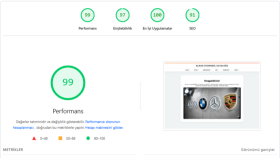 performanslı web sitesi sunuyorum