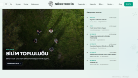 modern ve satış odaklı web siteleri tasarlarım
