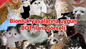 dilediğiniz veriyi alabileceğiniz bir bot programlarım