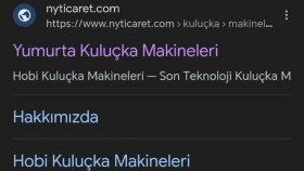 NY Ticaret Google Analytics ve Search Console Yönetimi