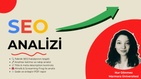 siteniz için temel SEO analizi yapabilirim
