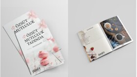 katalog tasarımı broşür dergi tasarımı ve düznleme yapıyorum
