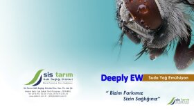 Ürünleri en doğru şekilde yansıtan tasarımlar