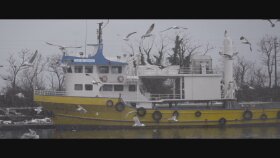 Video Portfolyo