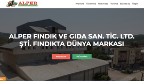 Web Tasarım Örneği