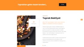 Wordpress Tabanlı Web Siteleri