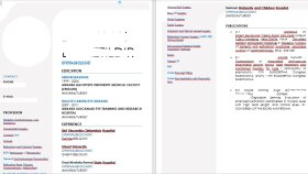 Sağlık Alanında İngilizce Türkçe Özgeçmiş