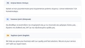 Web Sitesi ve Dijital İçerik Çevirisi