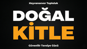 organik ve aktif kitlemde reklamınızı paylaşırım