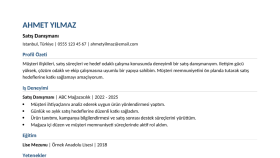 Örnek CV Düzenleme Çalışması