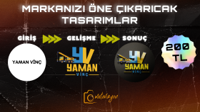 profesyonel kurumsal logo tasarlıyorum