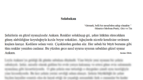 sizin için özgün metinler, öyküler ya da şiirler yazabilirim