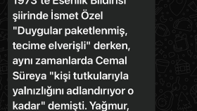 Ranch Sos ve Prens Kukla Oyunu