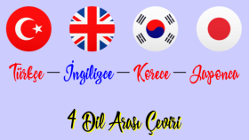 İngilizce, Türkçe, Japonca, Korece arası çeviri yaparım
